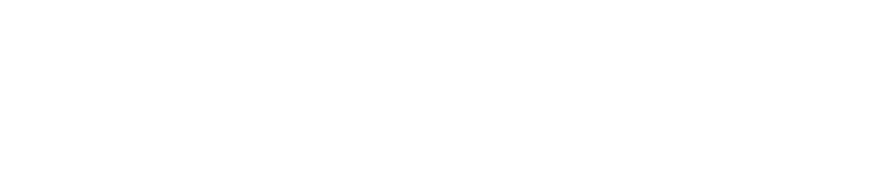 Pereira & Pereira Lda.
